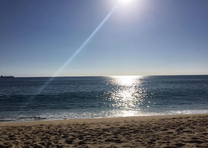Departamento Vina Del Mar